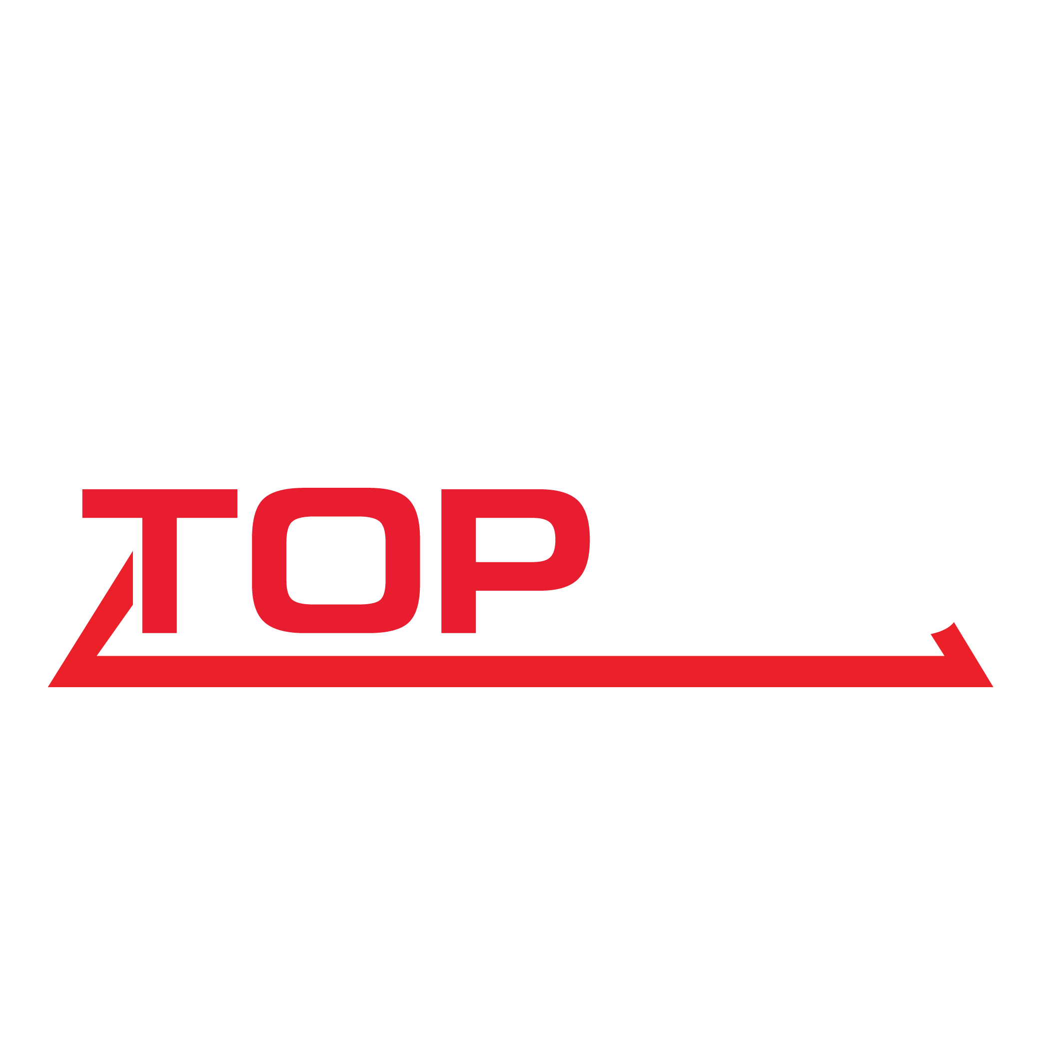 TOPUS is the best place to start your business in the USA